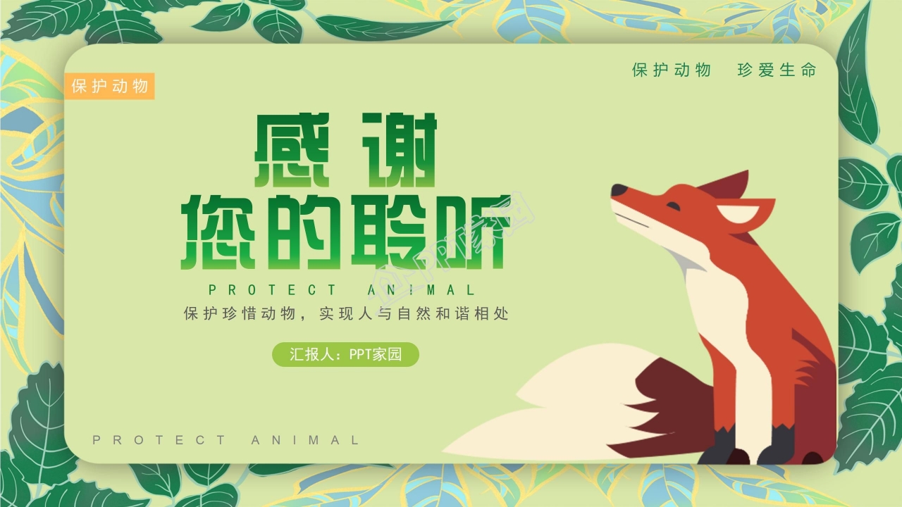 珍稀动物的保护ppt模板