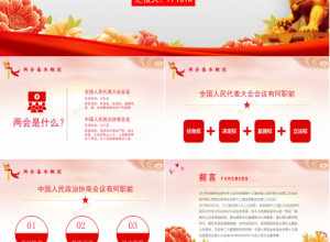 党支部全国两会政府工作报告总结学习ppt模板下载推荐