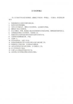 企业管理公司纪律规定word模板