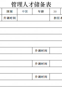 管理人才储备表excel模板