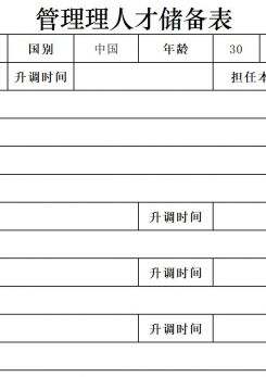 管理人才储备表excel模板