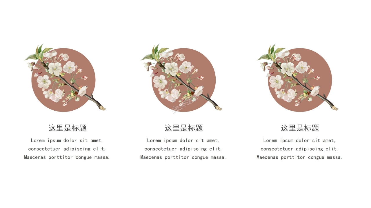 化妆品的使用宣传ppt模板