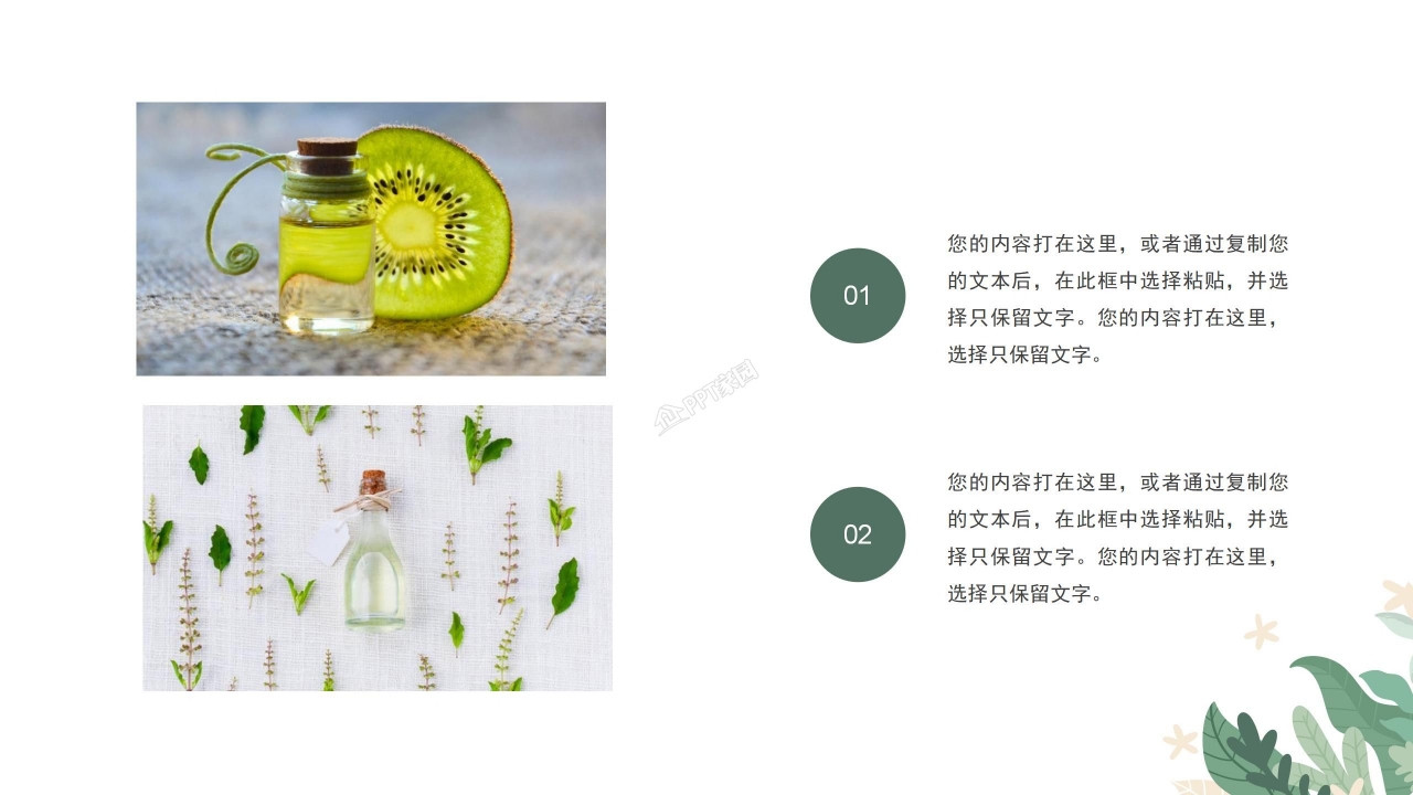 美容护肤的介绍ppt模板