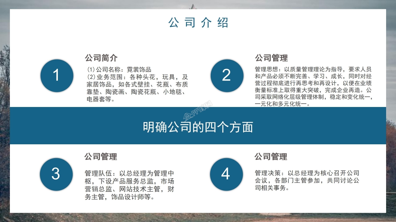 大学生互联网创业大赛公司介绍市场营销ppt模板