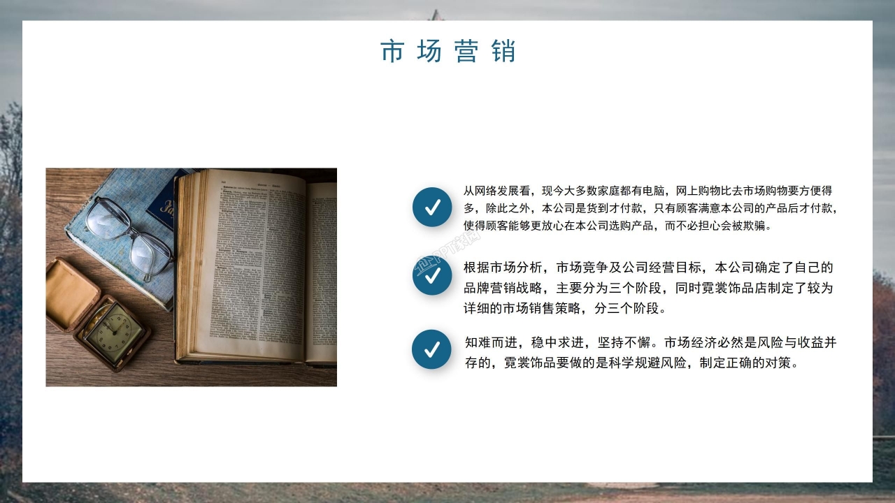 大学生互联网创业大赛公司介绍市场营销ppt模板