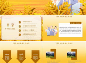 乡村振兴项目融资计划ppt模板下载推荐
