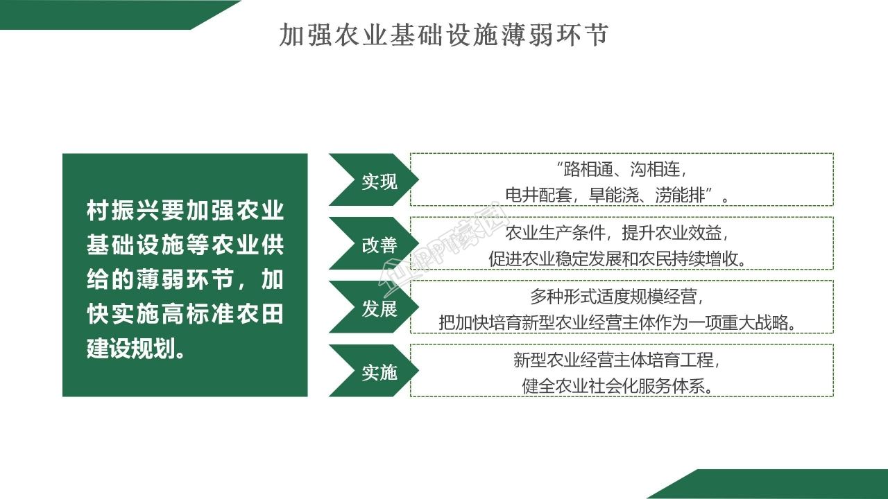 乡村振兴项目计划书案例主题演讲ppt模板