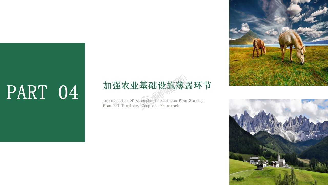 乡村振兴项目计划书案例主题演讲ppt模板