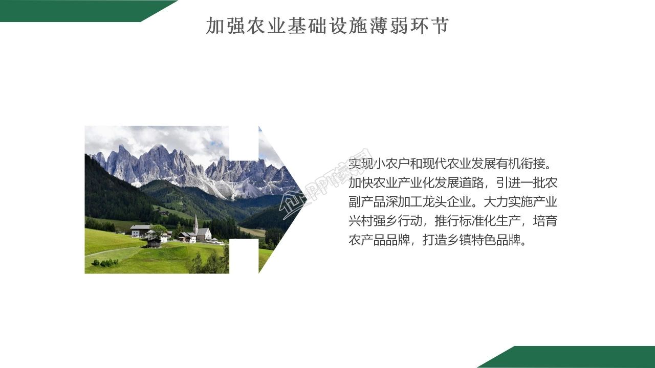 乡村振兴项目计划书案例主题演讲ppt模板