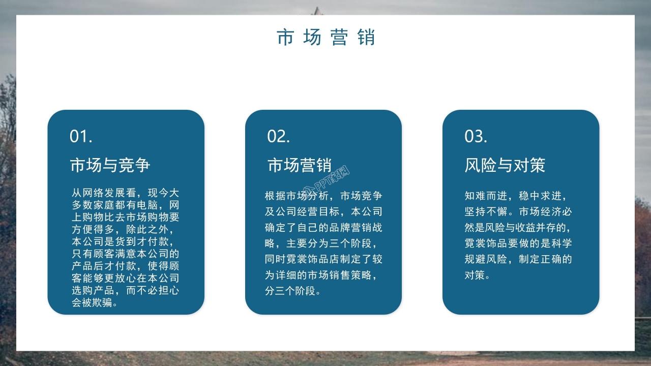 大学生互联网创业大赛公司介绍市场营销ppt模板