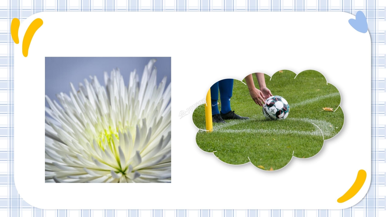 儿童成长手册ppt模板