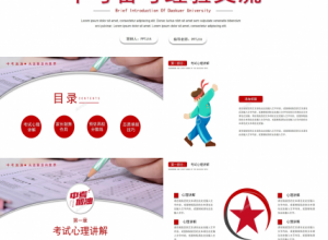 简约风中考备考经验交流方案汇报ppt模板下载推荐