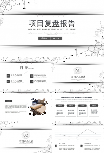 项目复盘汇报ppt模板