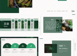 关于介绍端午节的ppt模板下载推荐