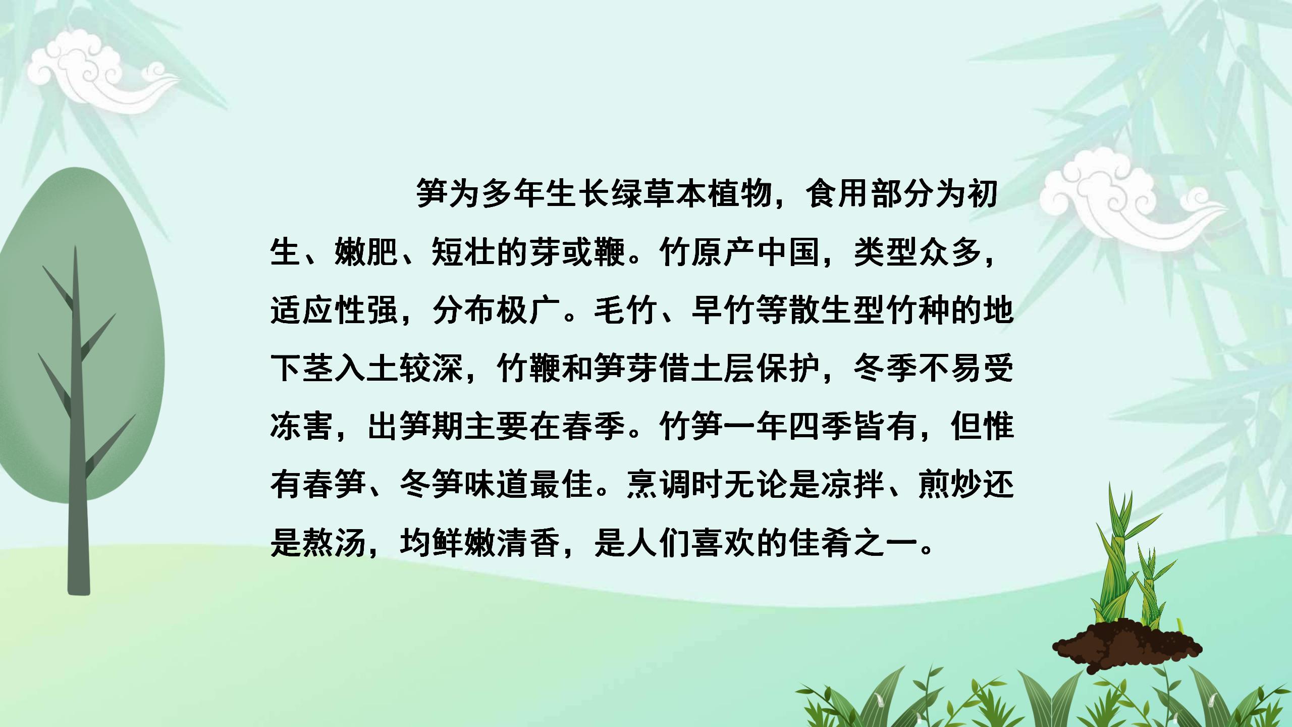 《春笋》PPT课件4PPT课件下载