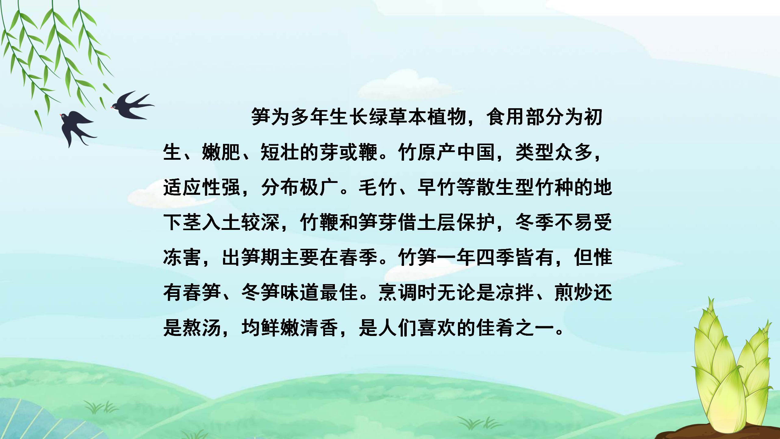 小学课文春笋PPT课件PPT课件下载