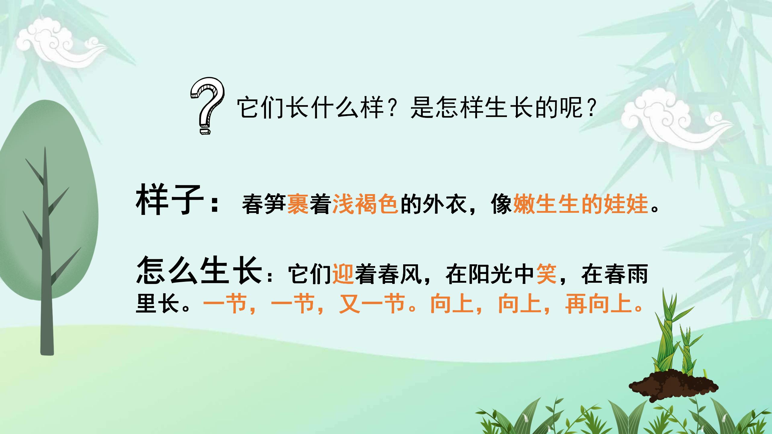 《春笋》PPT课件4PPT课件下载