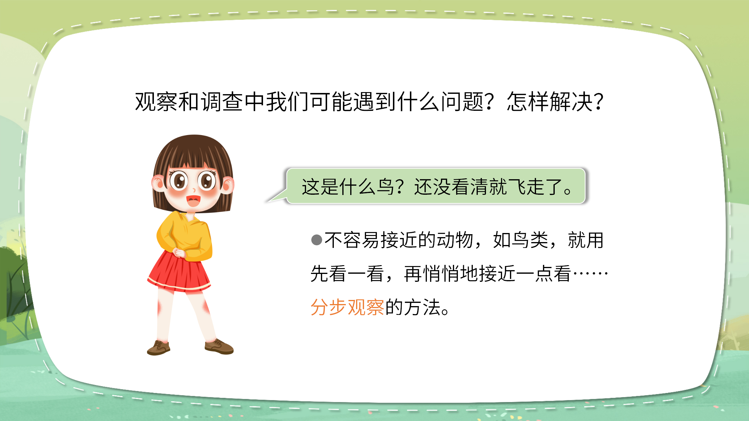 《寻访小动物》科学课件ppt模板PPT课件下载
