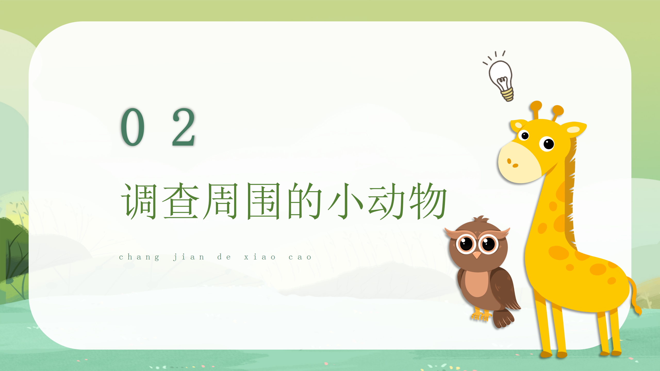 《寻访小动物》科学课件ppt模板PPT课件下载
