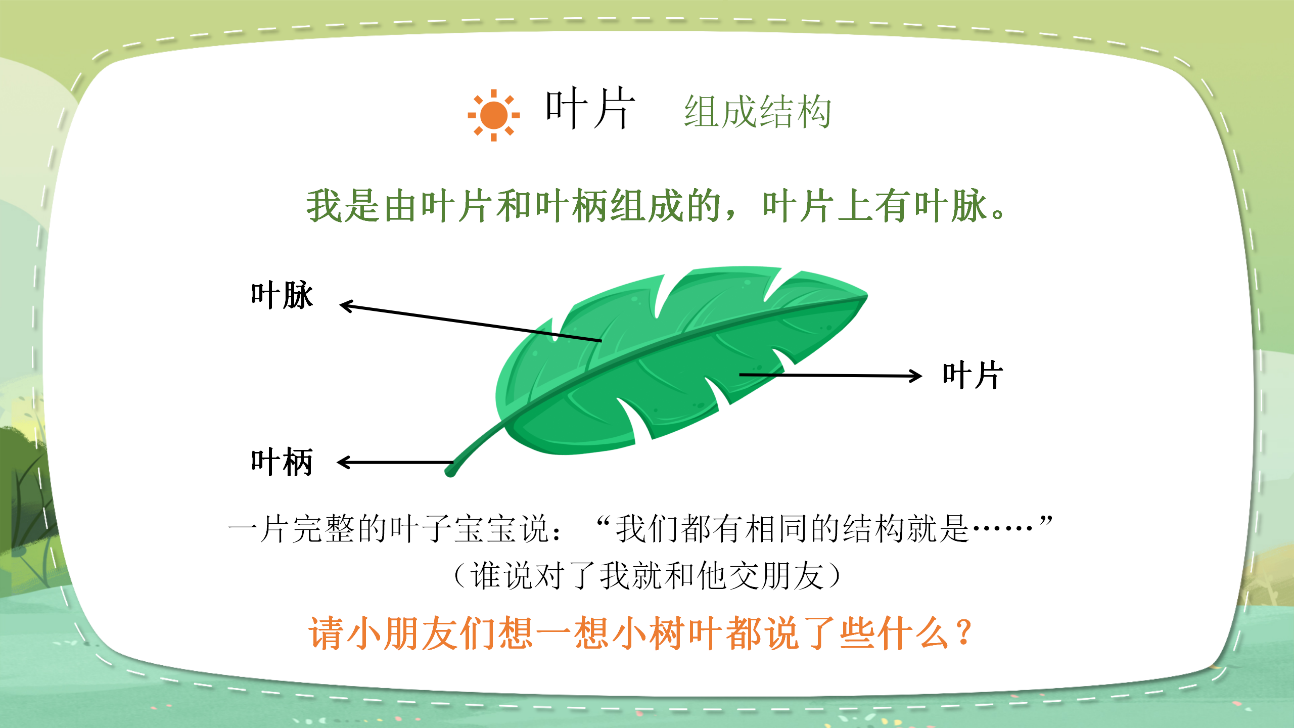 小学教育《植物的叶》教案ppt课件PPT课件下载
