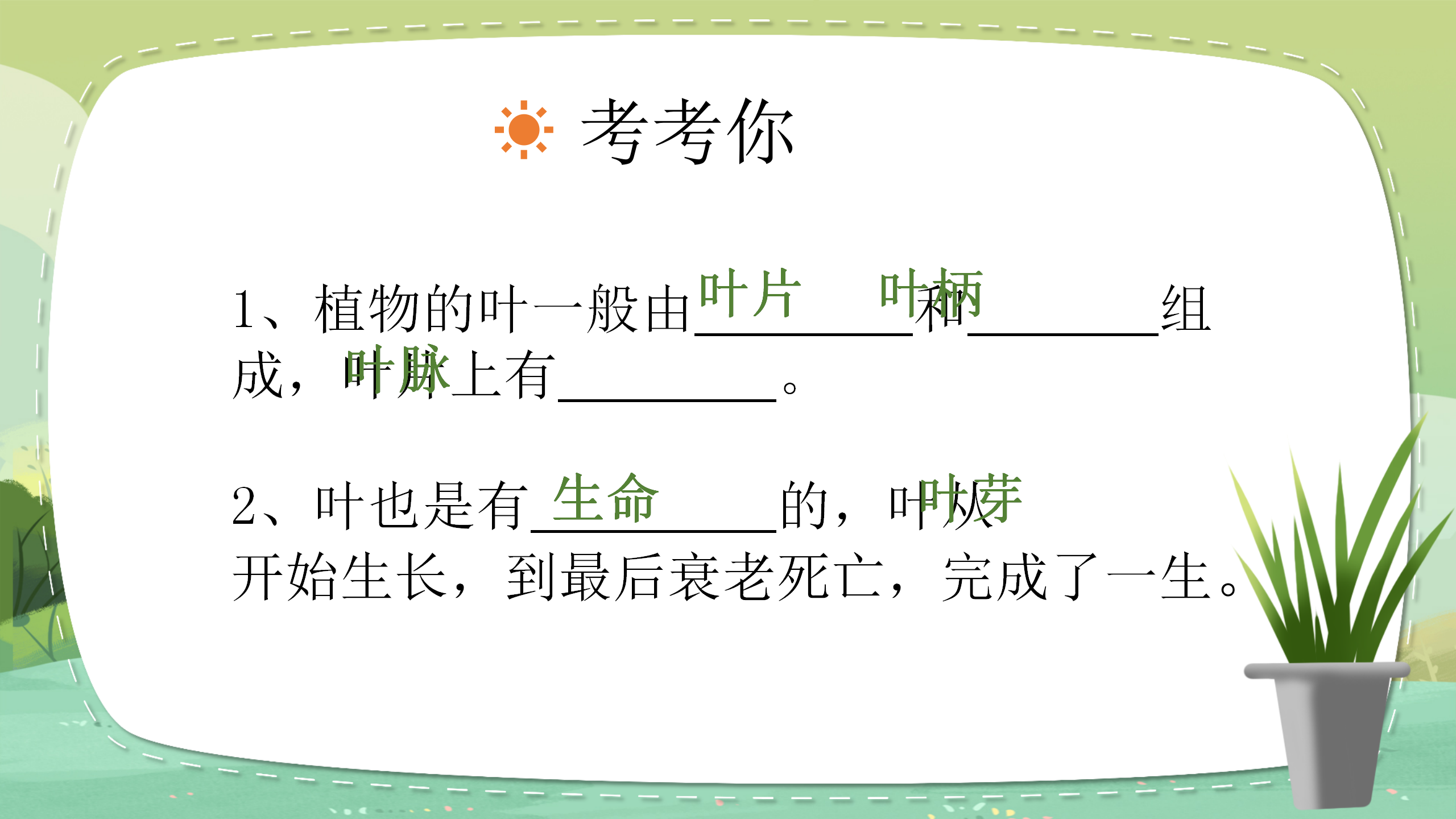 小学教育《植物的叶》教案ppt课件PPT课件下载