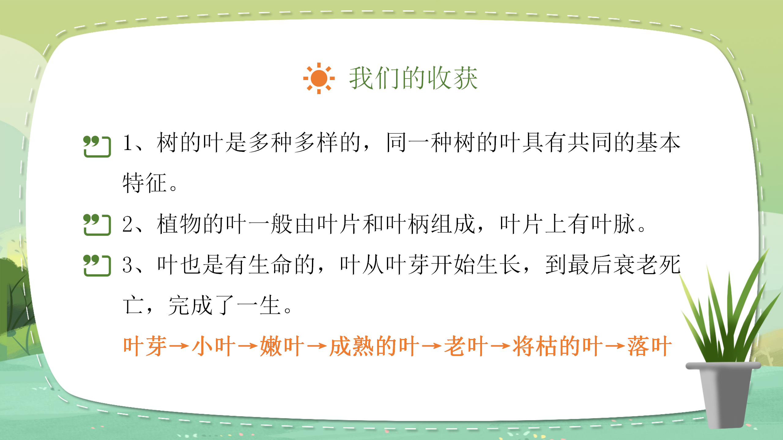 小学教育《植物的叶》教案ppt课件PPT课件下载