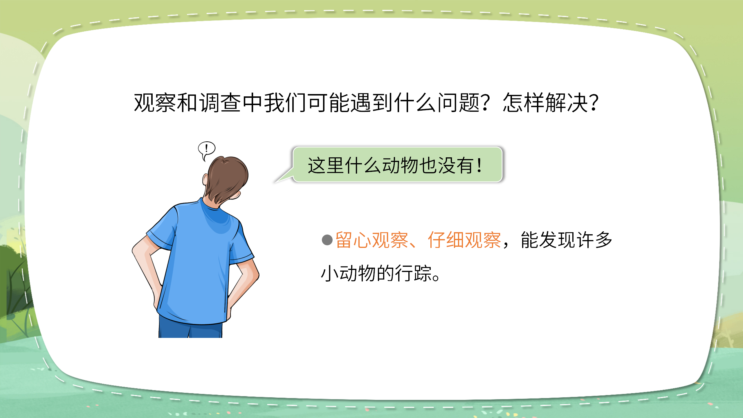 《寻访小动物》科学课件ppt模板PPT课件下载