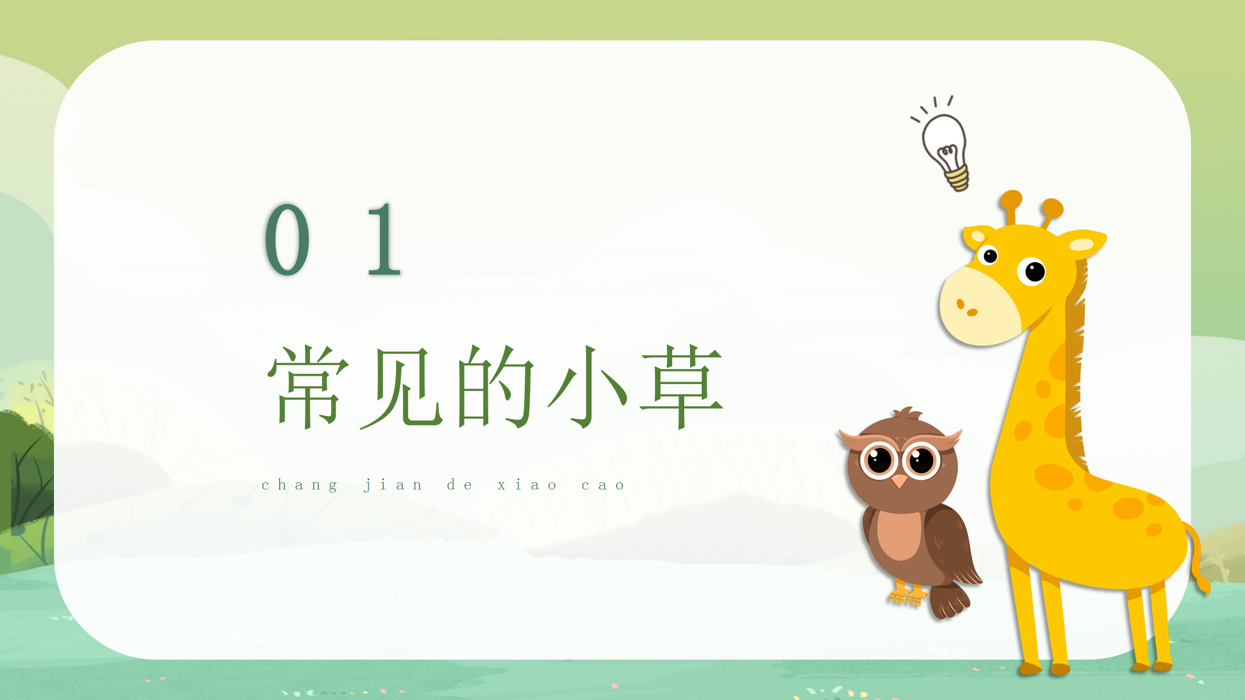 小学科学《大树和小草》教育PPT课件PPT课件下载