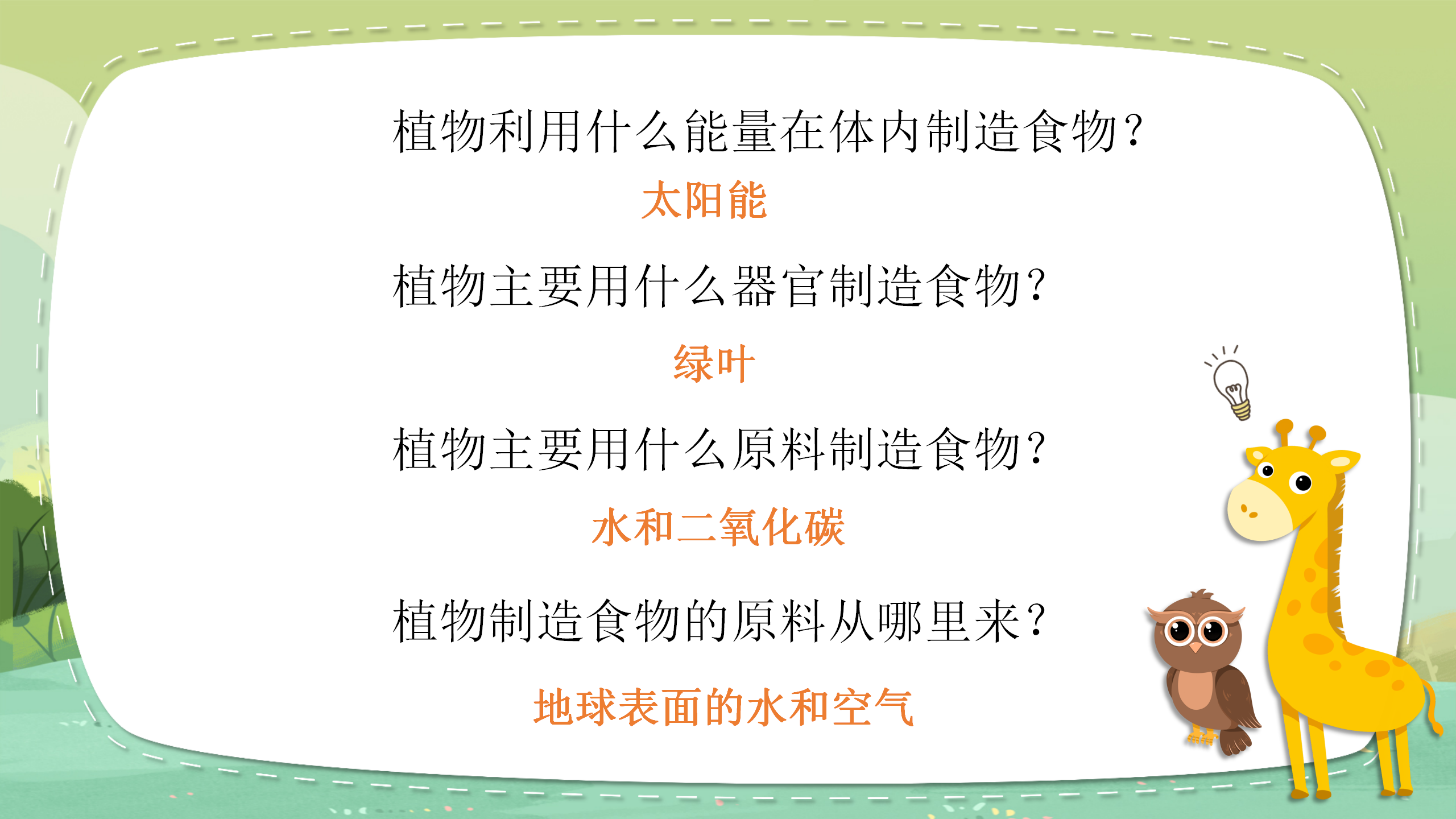 科学《植物有哪些相同点》ppt课件PPT课件下载