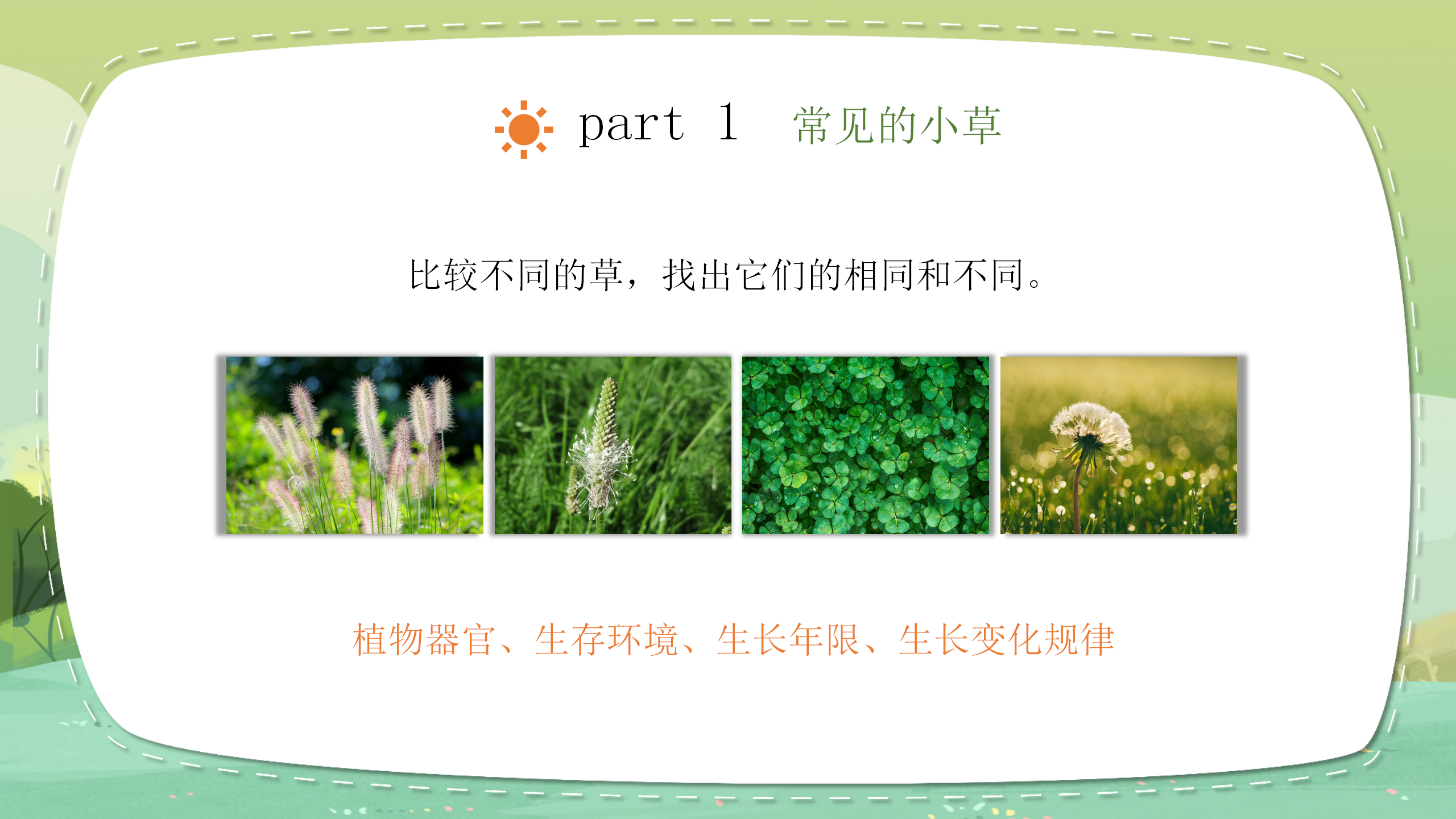 小学科学《大树和小草》教育PPT课件PPT课件下载