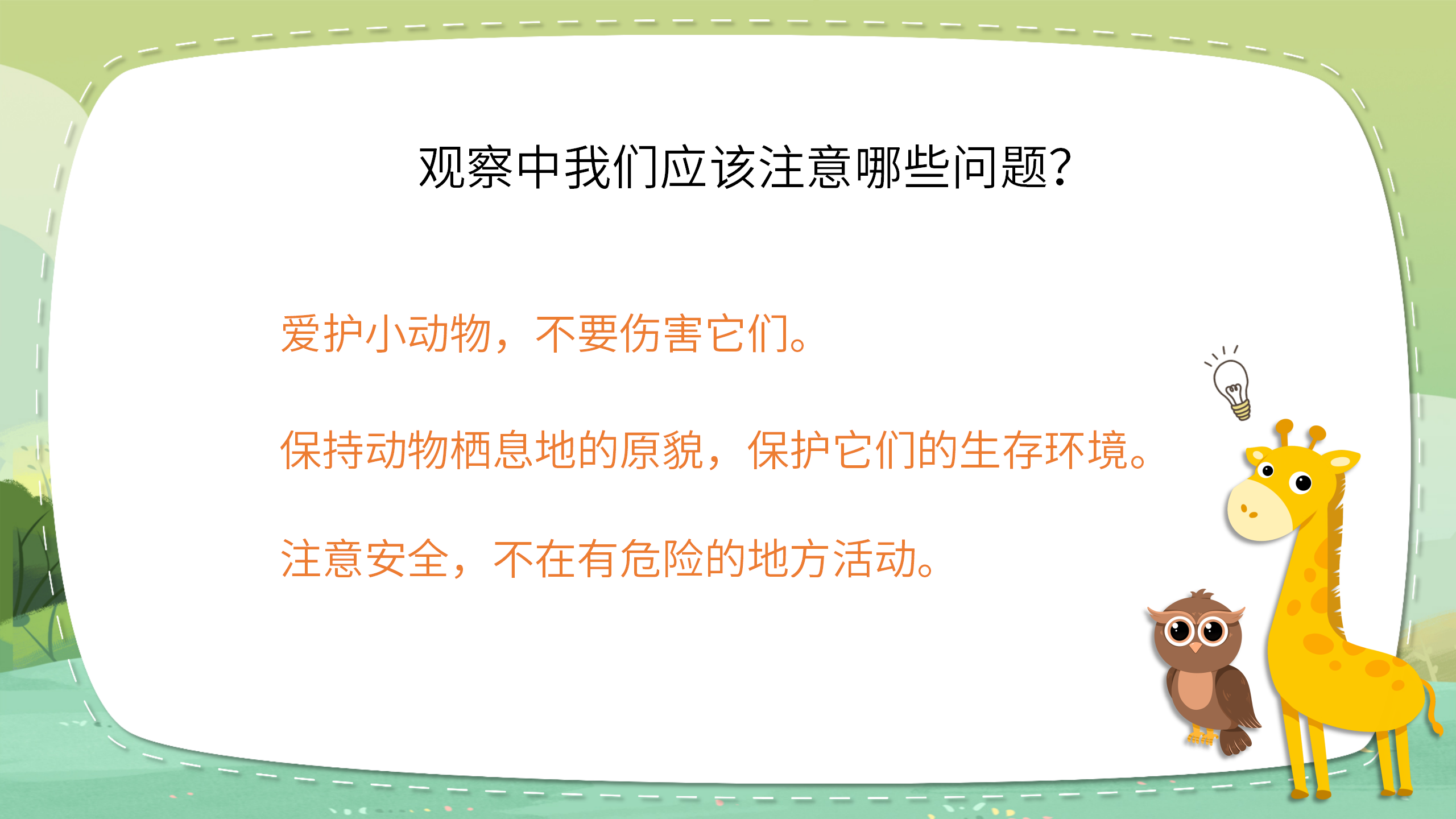 《寻访小动物》科学课件ppt模板PPT课件下载