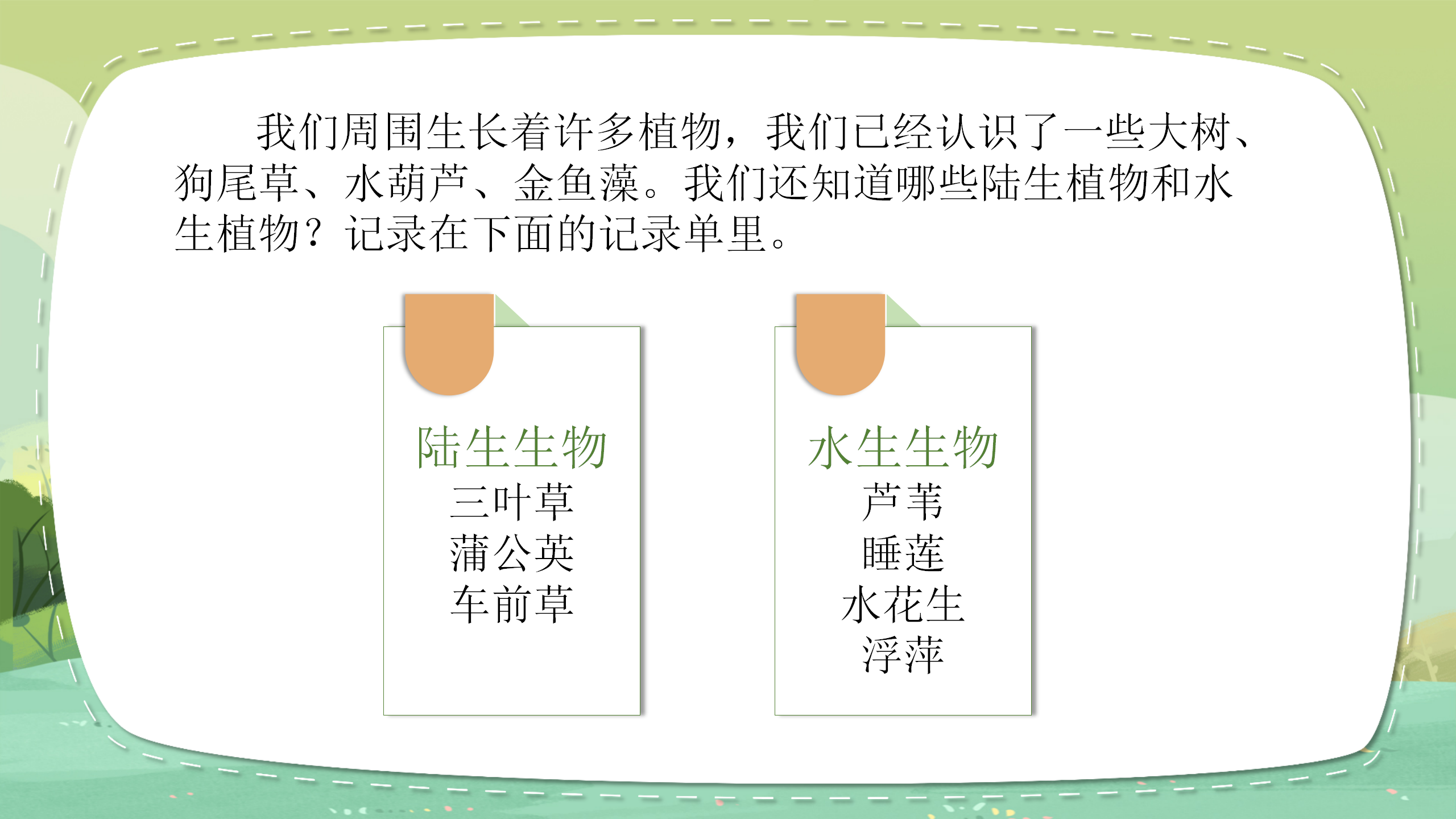 科学《植物有哪些相同点》ppt课件PPT课件下载