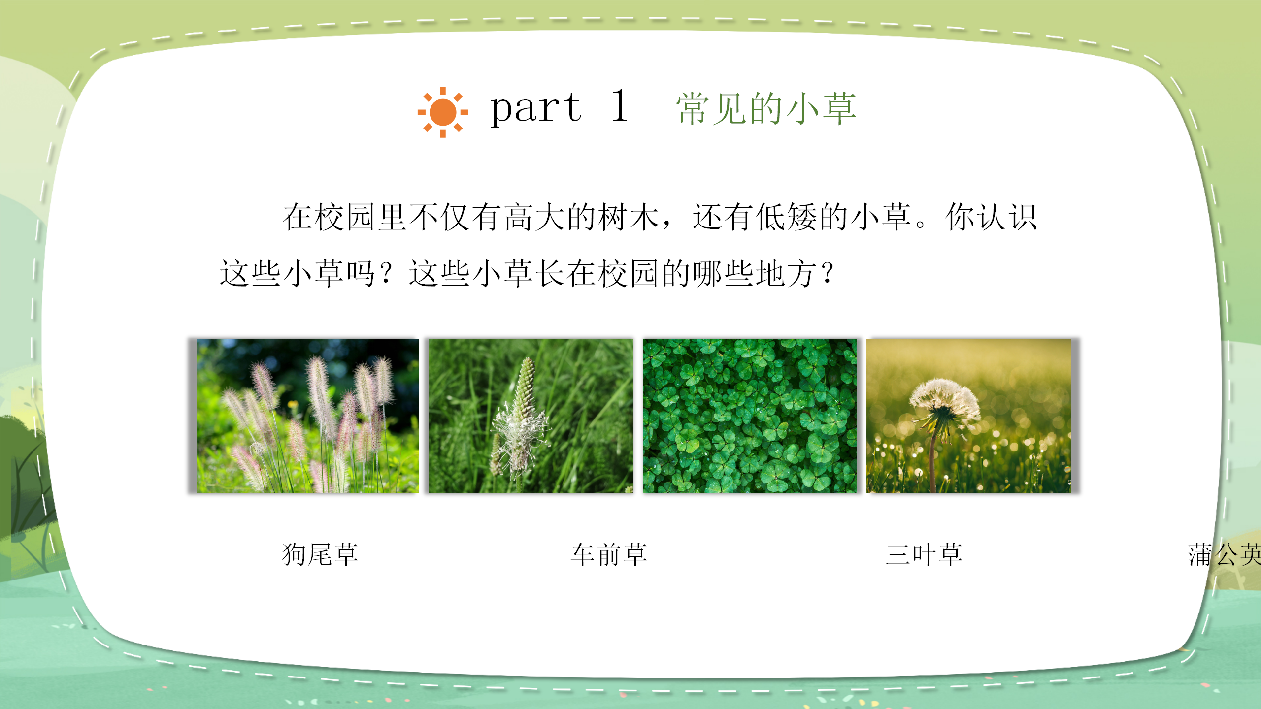 小学科学《大树和小草》教育PPT课件PPT课件下载