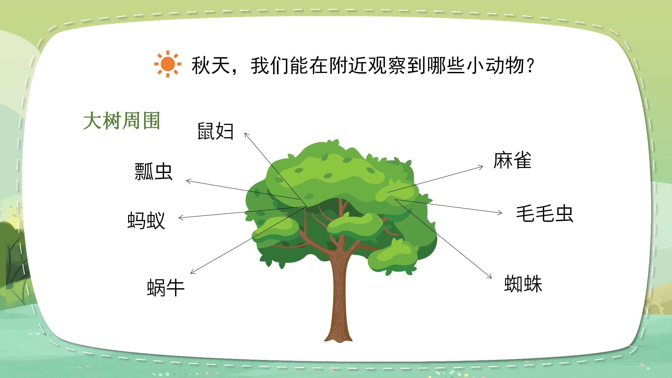 《寻访小动物》科学课件ppt模板PPT课件下载