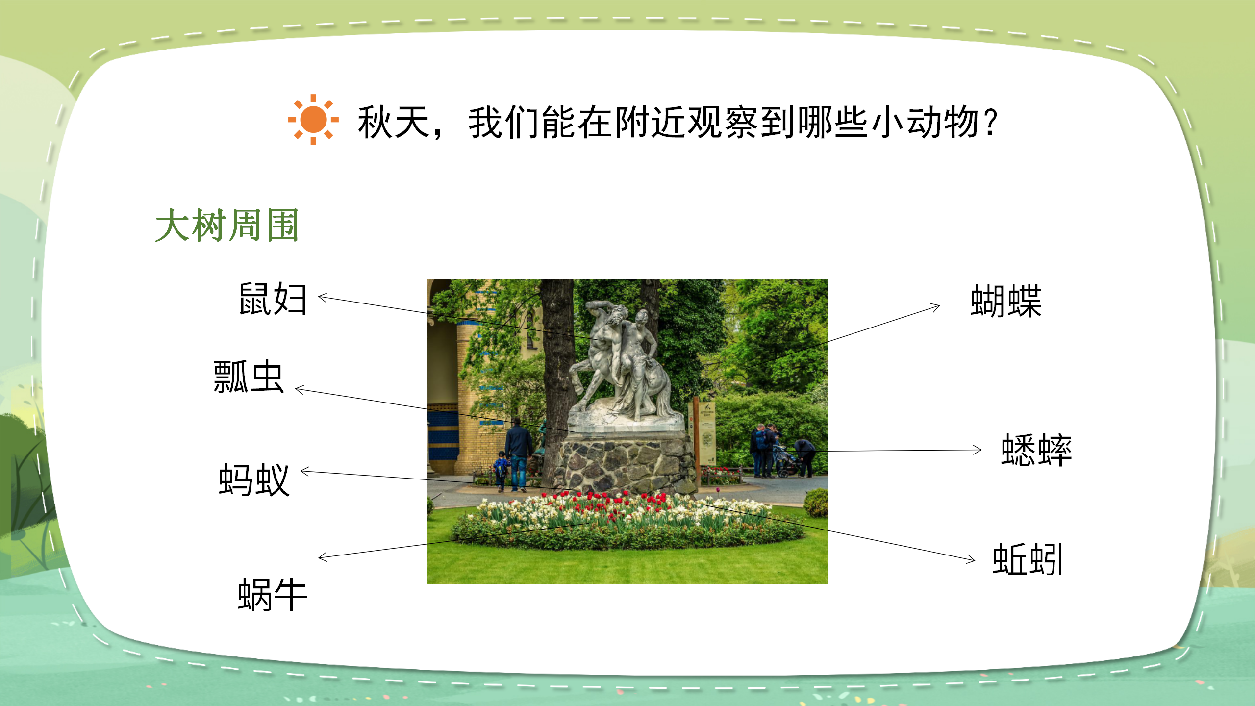 《寻访小动物》科学课件ppt模板PPT课件下载