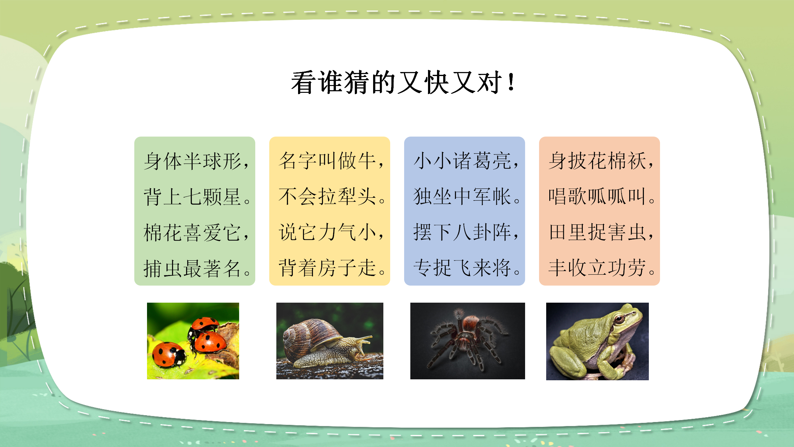 《寻访小动物》科学课件ppt模板PPT课件下载