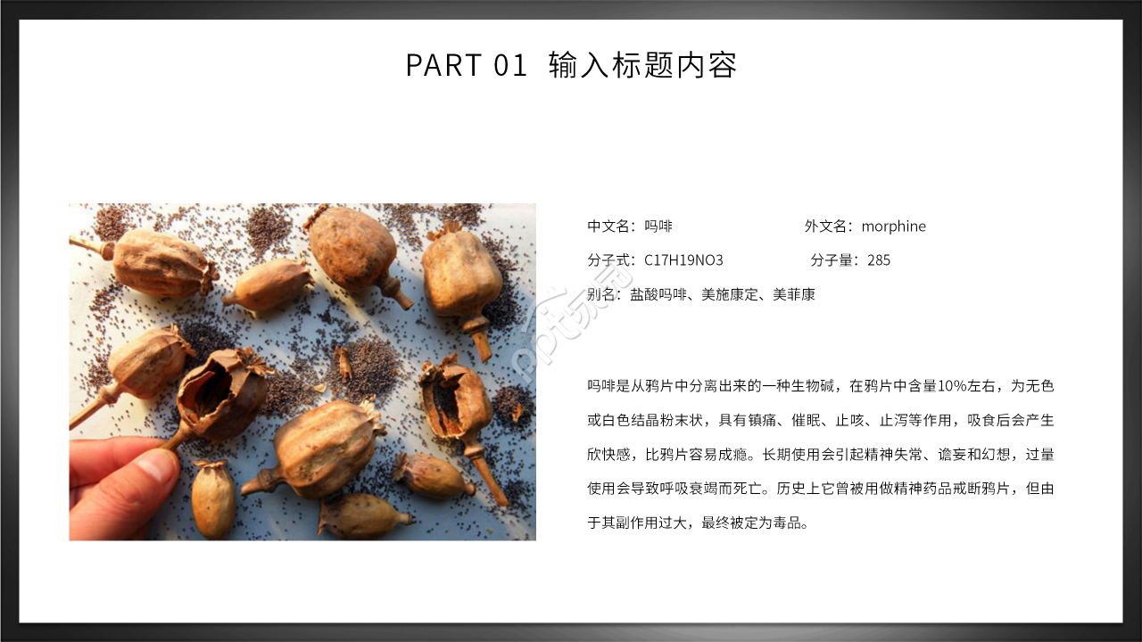 初中生禁毒知识主题班会ppt模板