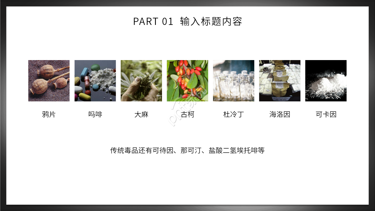 初中生禁毒知识主题班会ppt模板