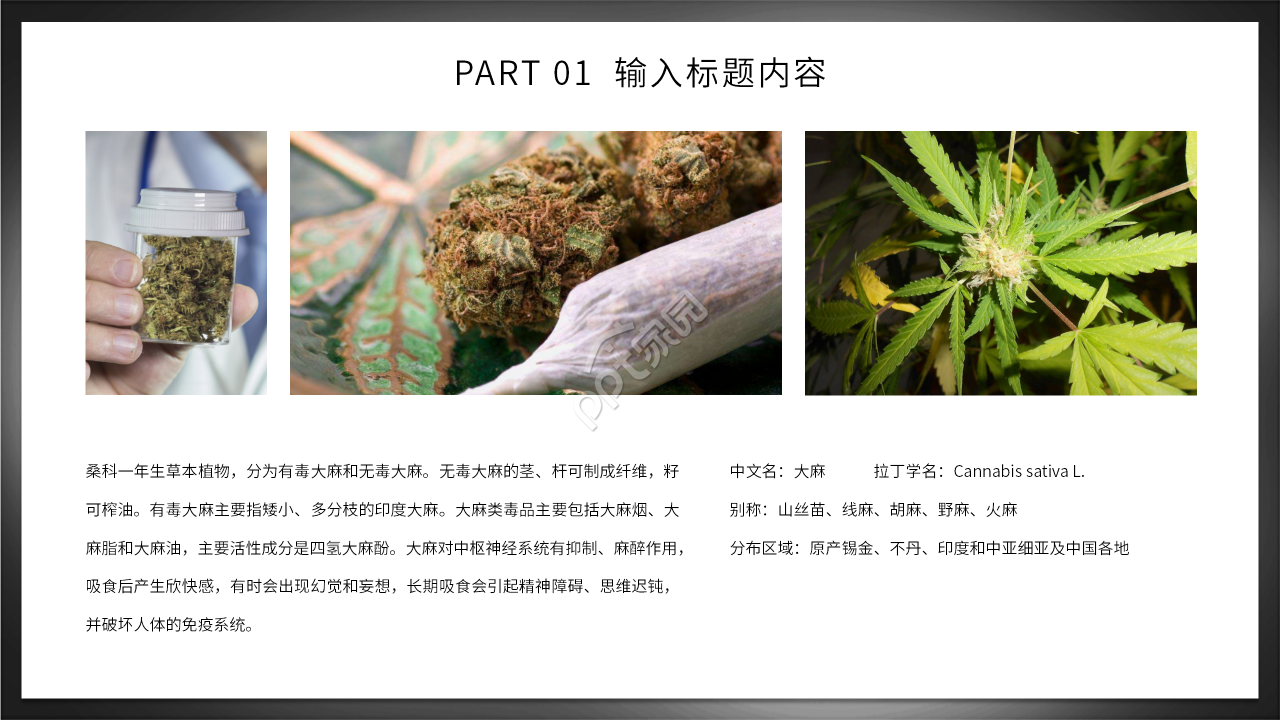 初中生禁毒知识主题班会ppt模板