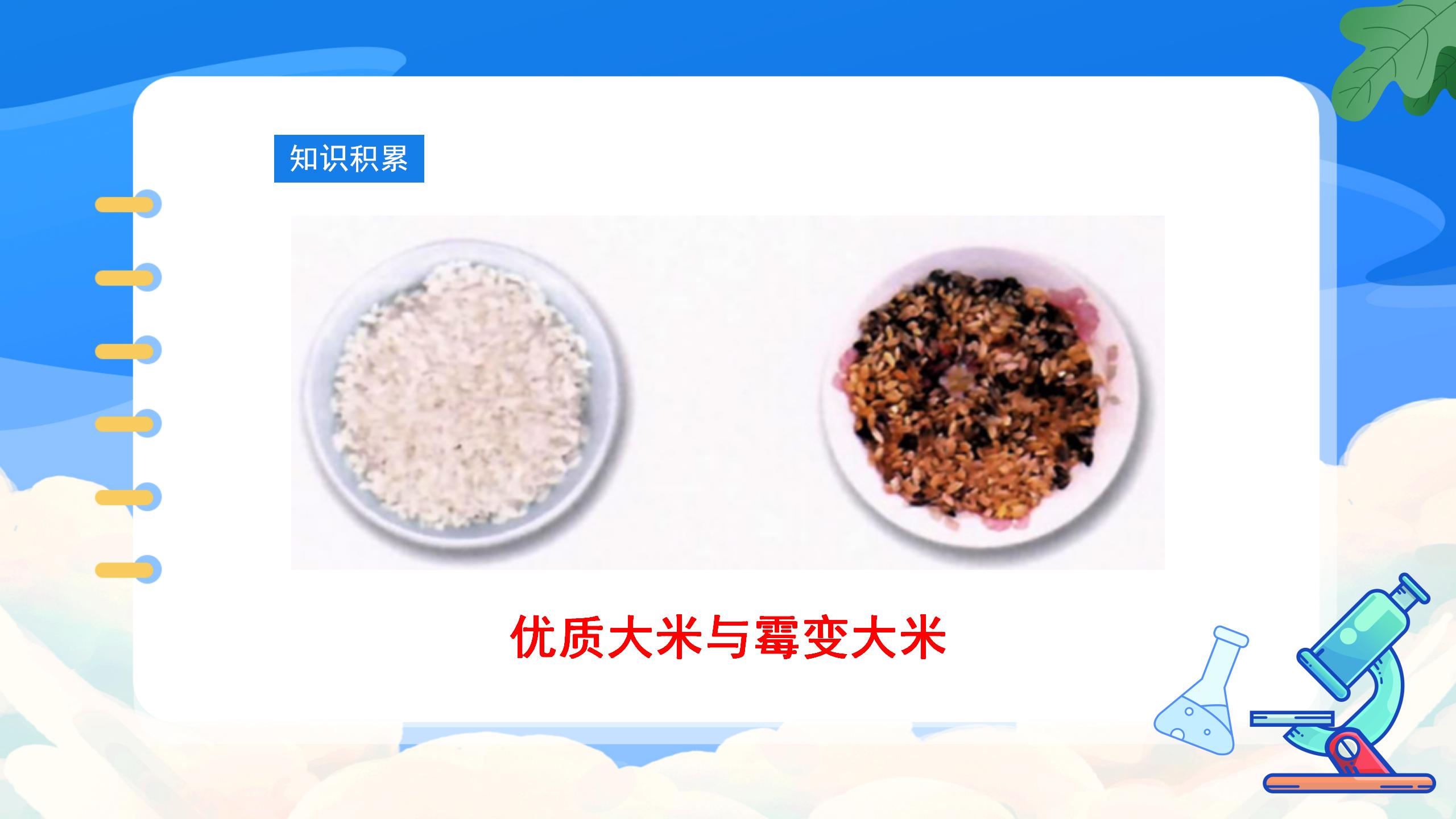 《人类重要的营养物质》化学与生活PPT课件5PPT课件下载