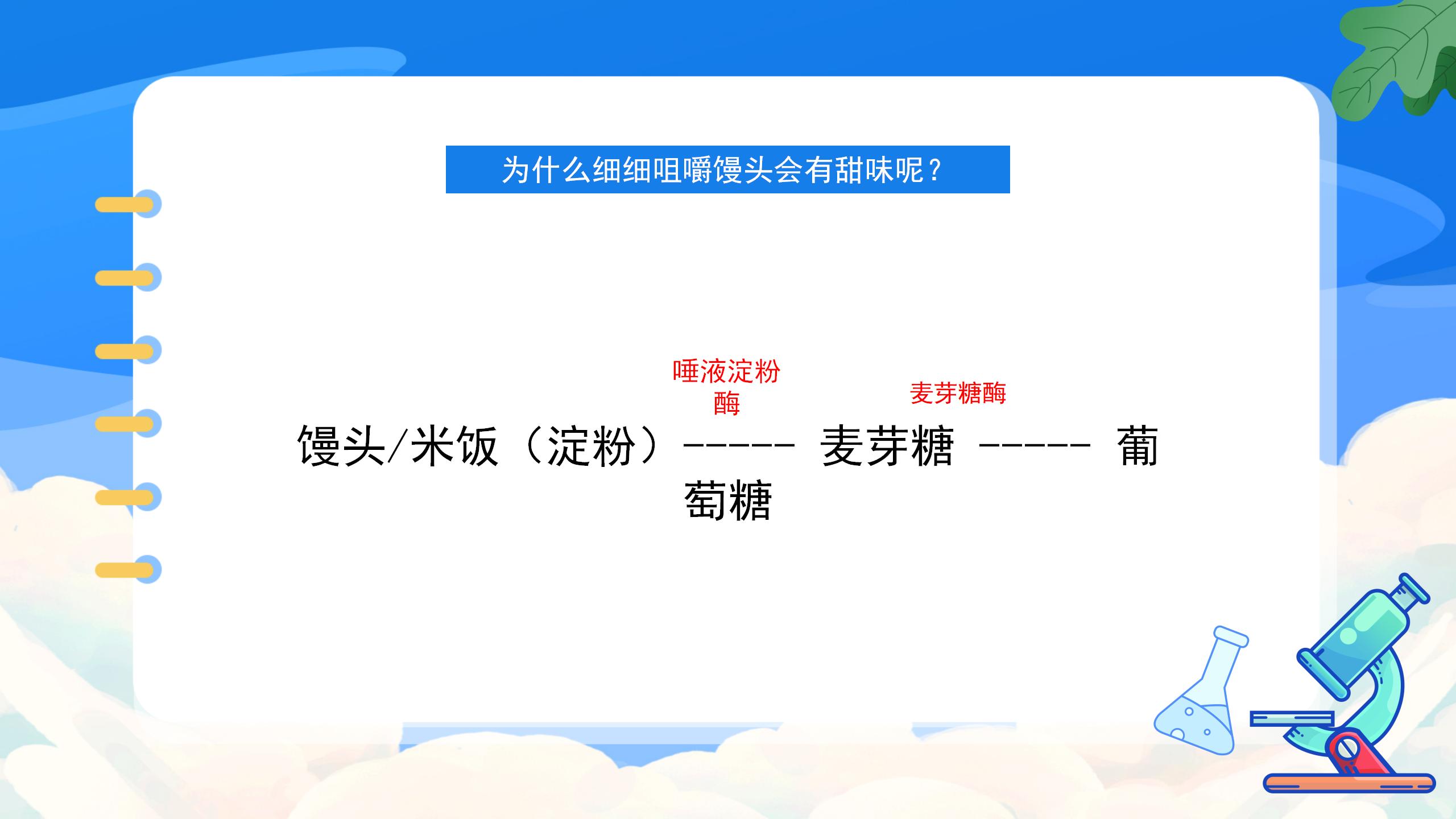 《人类重要的营养物质》化学与生活PPT课件4PPT课件下载