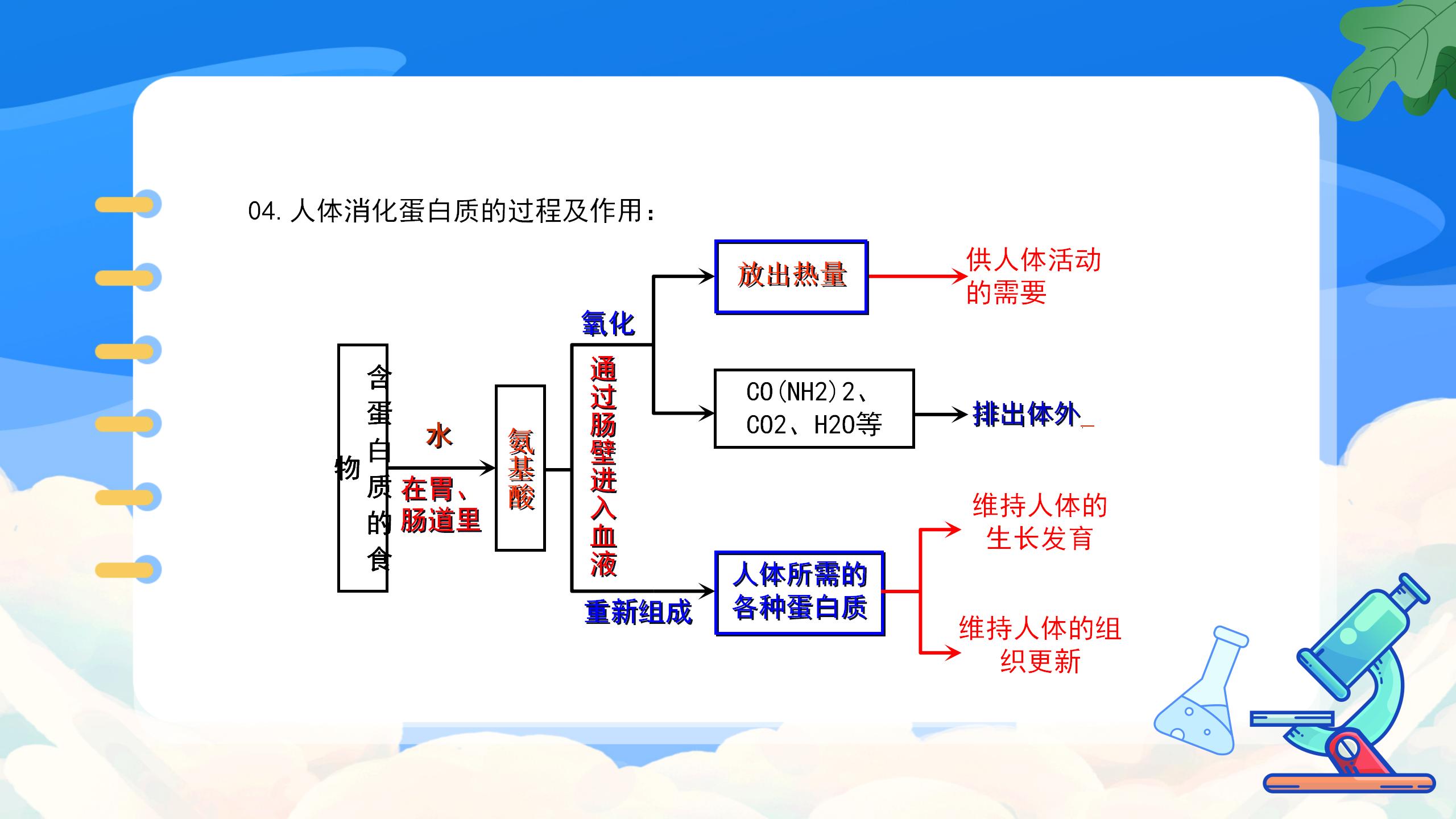 《人类重要的营养物质》化学与生活PPT课件5PPT课件下载
