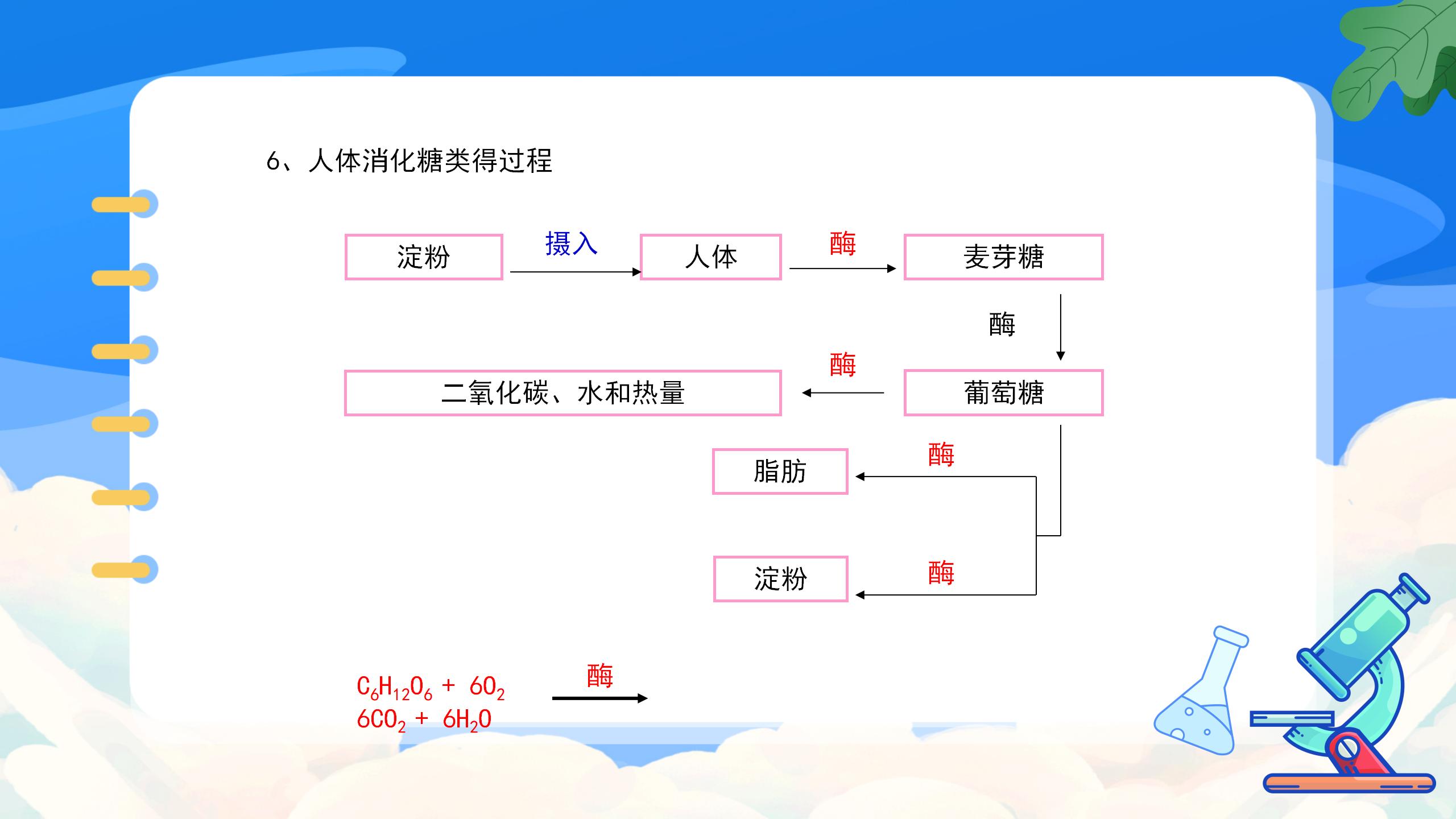 《人类重要的营养物质》化学与生活PPT课件5PPT课件下载