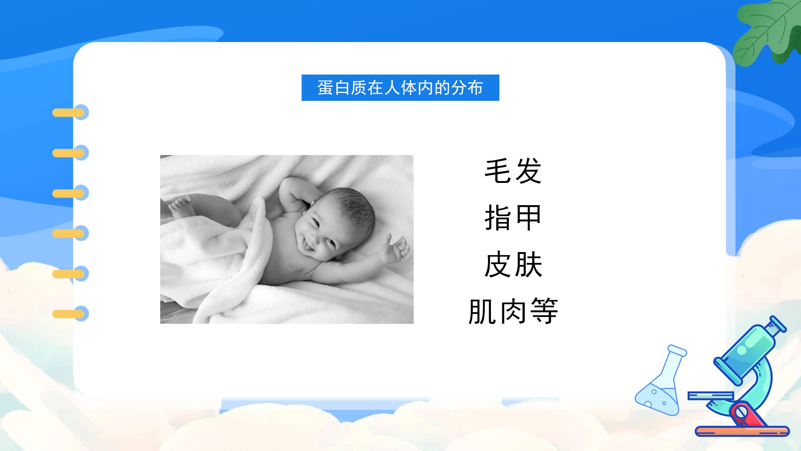 《人类重要的营养物质》化学与生活PPT课件5PPT课件下载