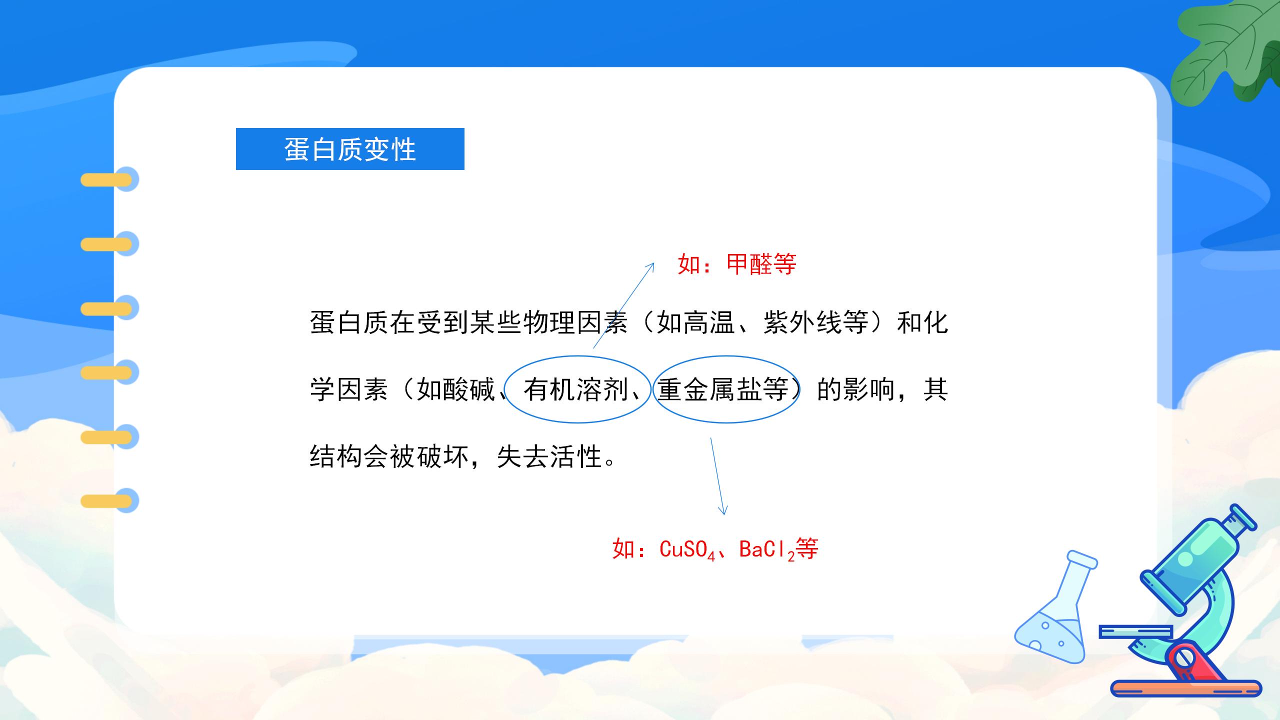 《人类重要的营养物质》化学与生活PPT课件4PPT课件下载