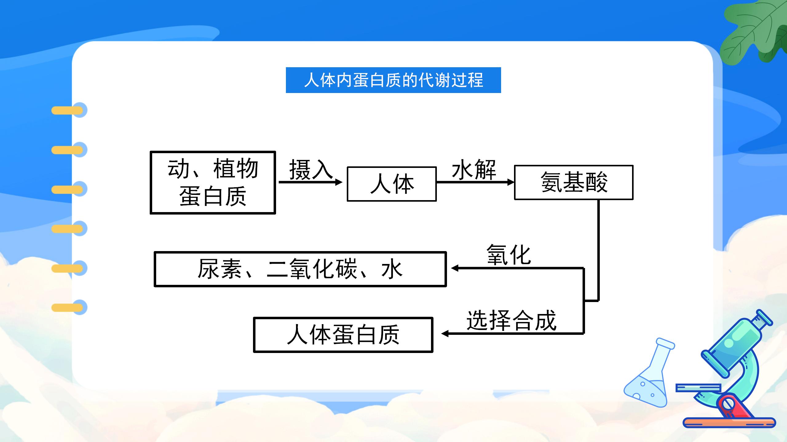 《人类重要的营养物质》化学与生活PPT课件4PPT课件下载