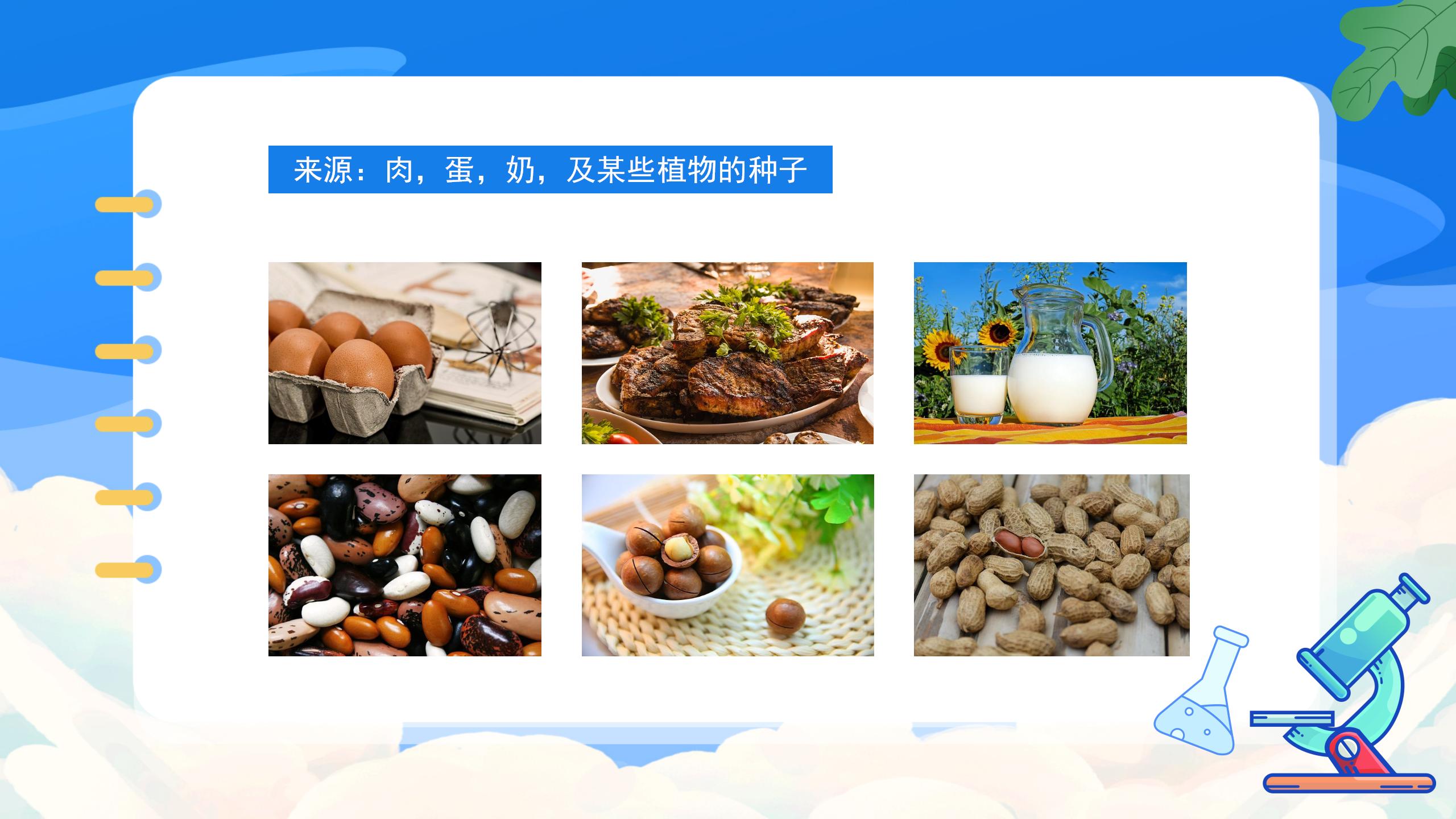 《人类重要的营养物质》化学与生活PPT课件4PPT课件下载