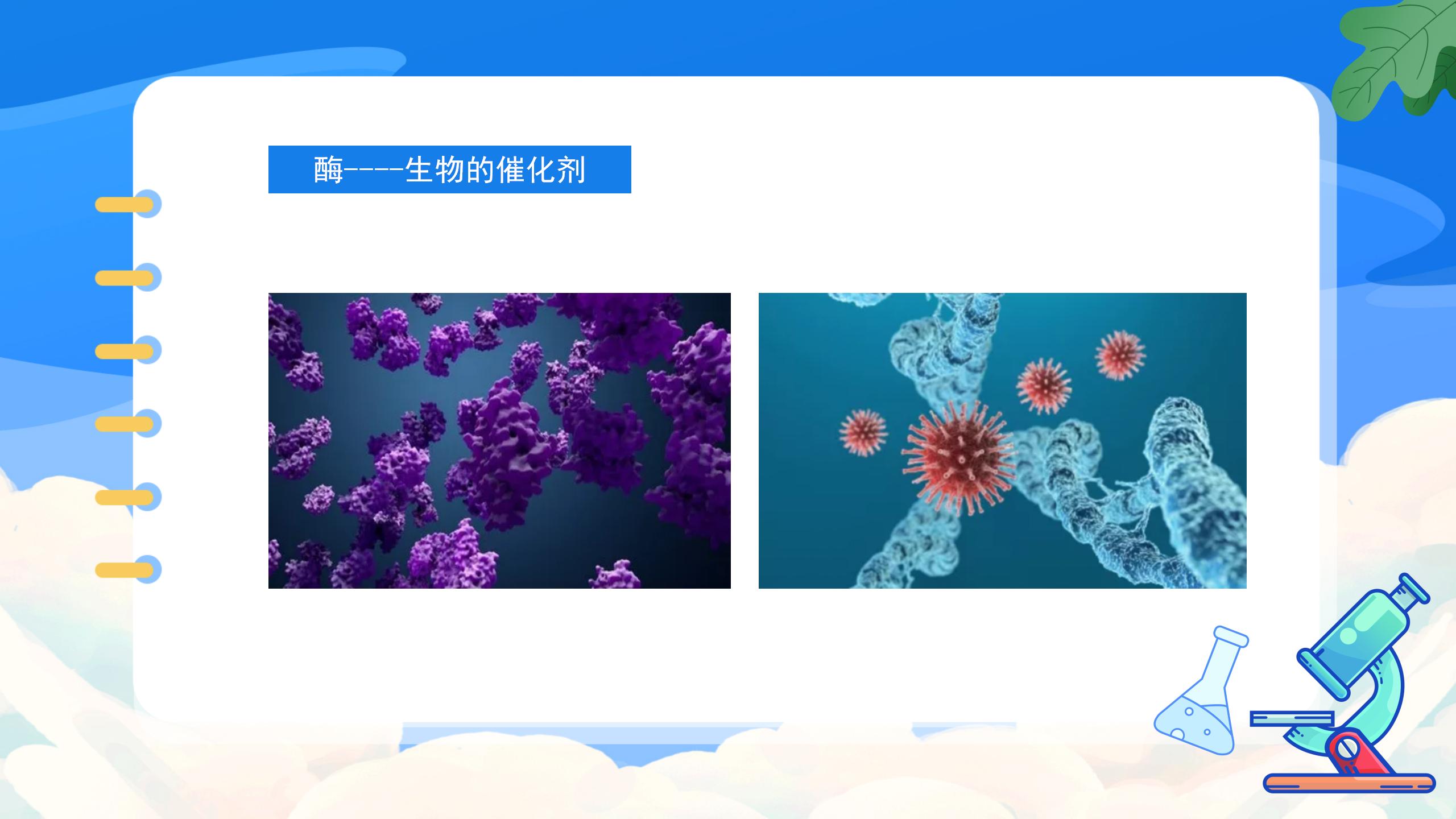 《人类重要的营养物质》化学与生活PPT课件4PPT课件下载
