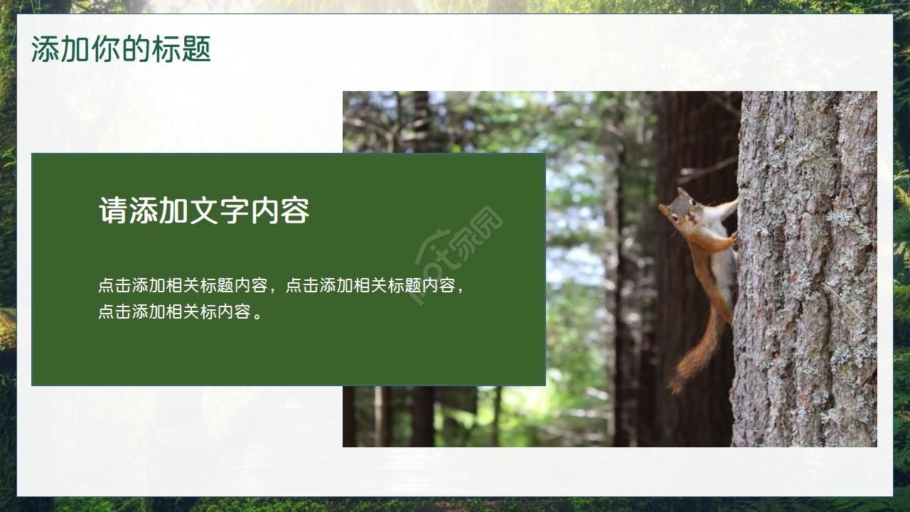 小清新绿植简约ppt模板