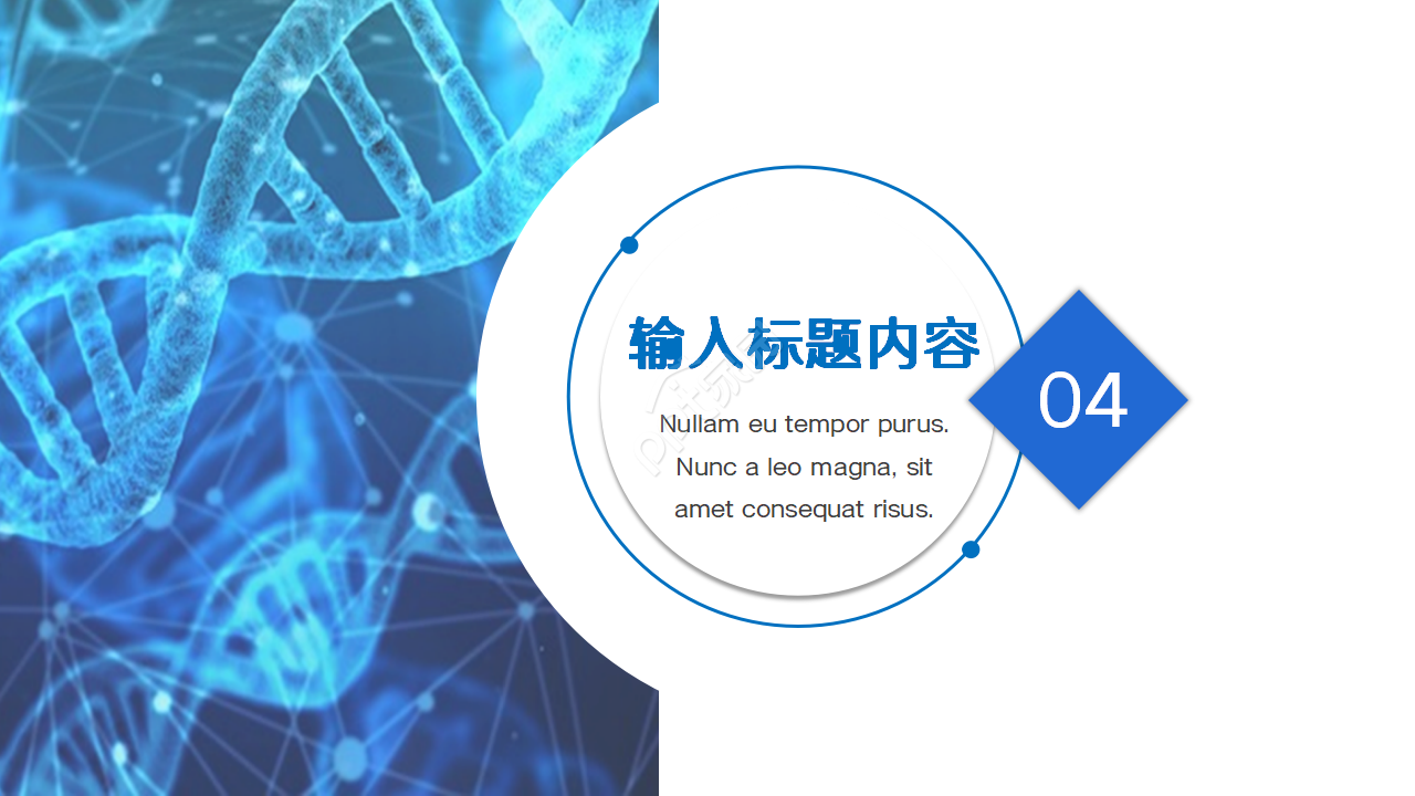 高一化学ppt模板